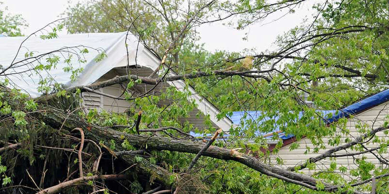 Reliable Storm Damage Roof Repair and Restoration Service Bentonville,AR